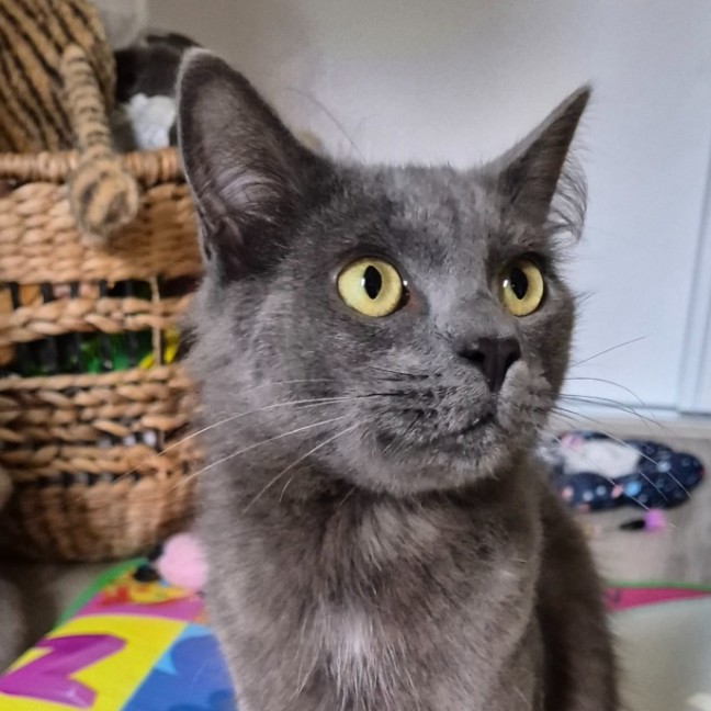 Photo of Simeon (Simmy) 💙