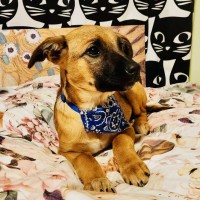Photo of Zeus
