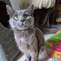 Photo of Simeon (Simmy) 💙