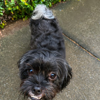 Photo of Lando