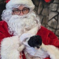 Photo of Harry Potter