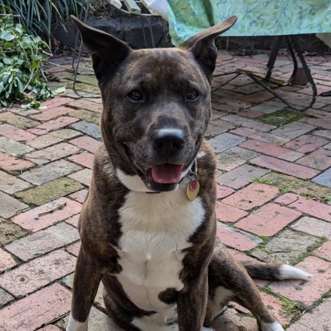 Photo of Lindy Lou