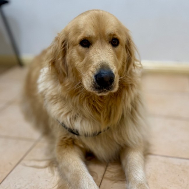 Photo of Ben