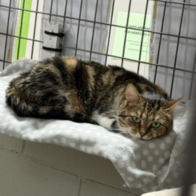 Photo of Mildred