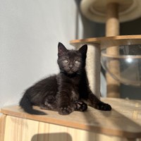 Photo of Ember ❤️‍🔥