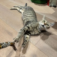 Photo of Mito 