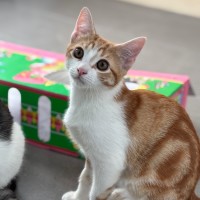 Photo of 🧡Reito🧡