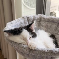 Photo of Rocket 🚀