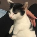 Photo of Squeek