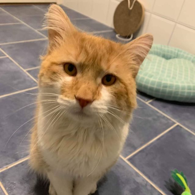 Photo of 💜💜Benji💜💜