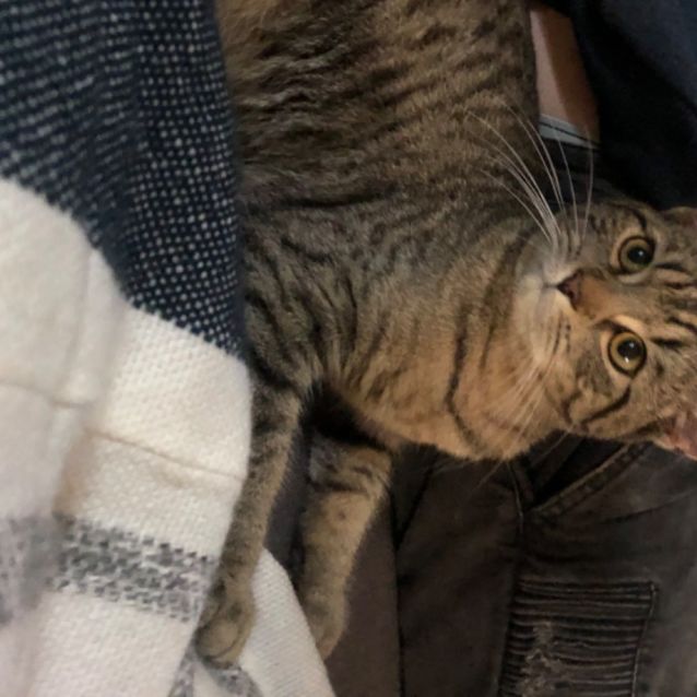 Photo of Bobbie 
