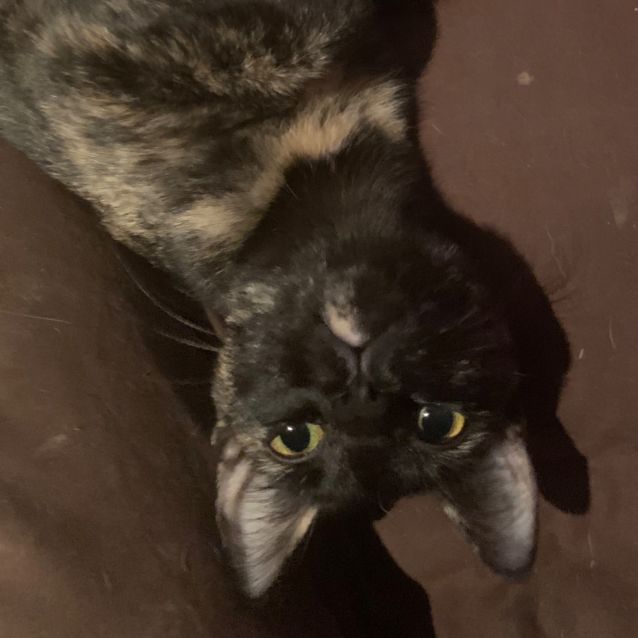 Photo of Mila 