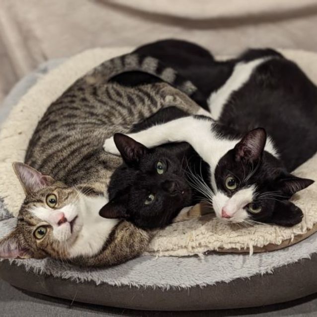 Photo of Lewis And Lily 