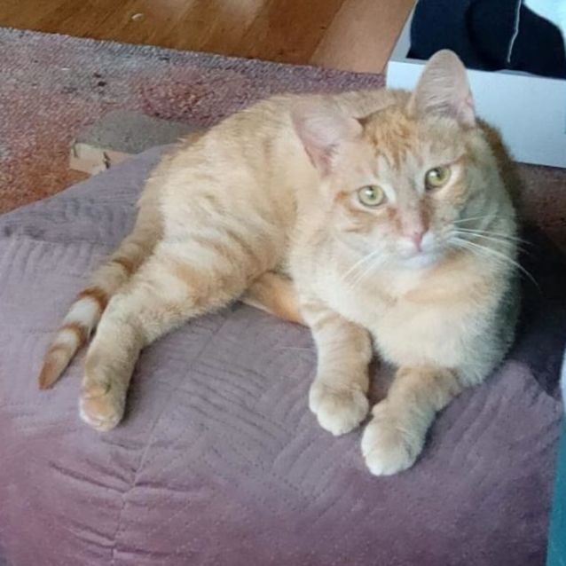 Photo of Eddie