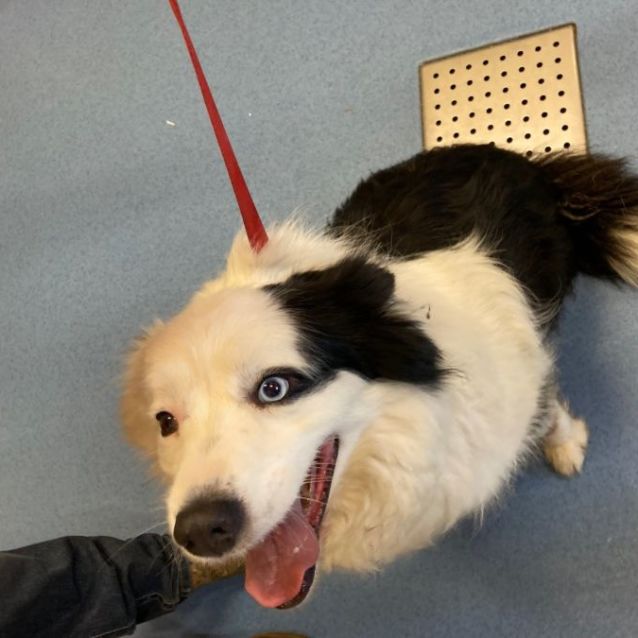 Photo of Bonnie