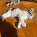 Photo of Storm
