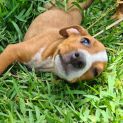Photo of Vinnie