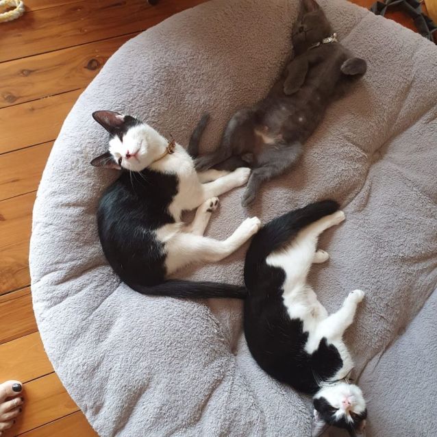 Photo of Gael And Mr T