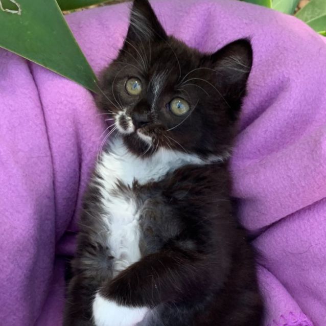 Photo of Tammy🐾🐈‍⬛🐾