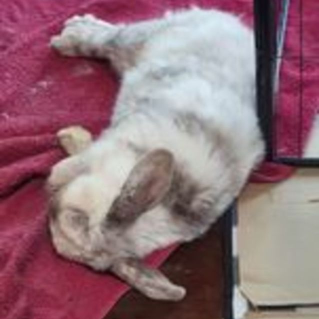 Photo of Maverick Cruise 