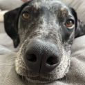 Photo of Leroy