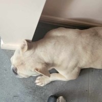 Photo of Deja