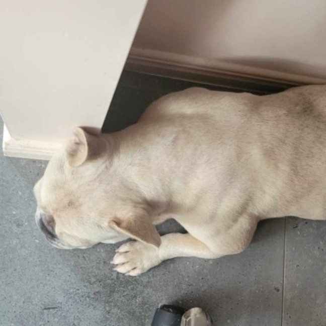 Photo of Deja
