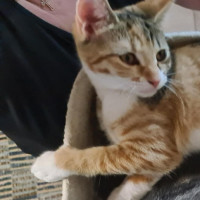 Photo of Osha & Rosemary