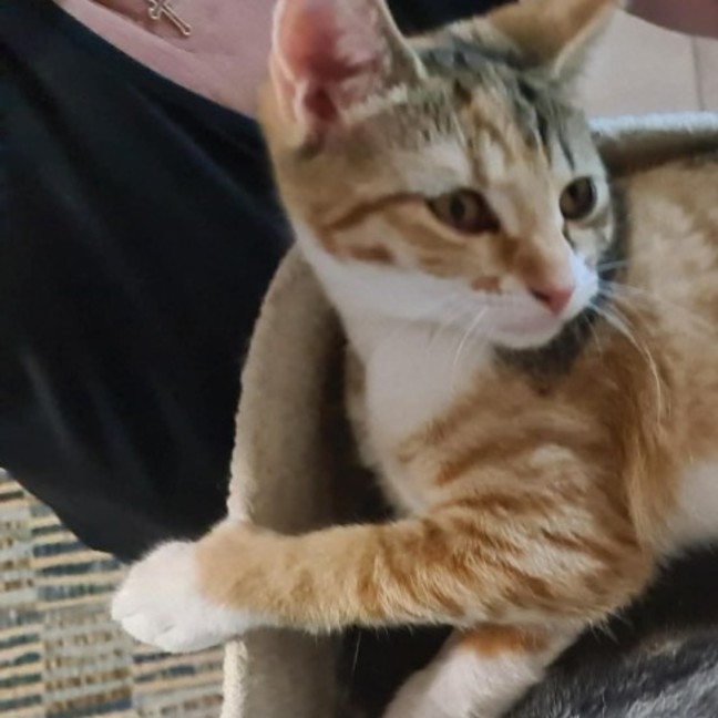 Photo of Osha & Rosemary