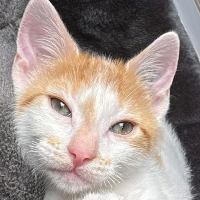 Photo of Fred