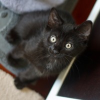 Photo of 💚 George 💚