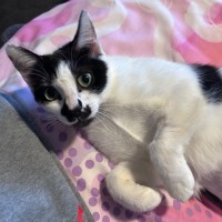 Photo of Gracey 💗