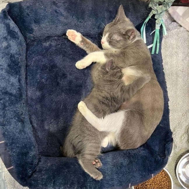 Photo of Ivy & Toothless 