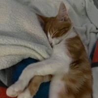 Photo of Jasper