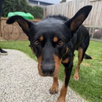 Photo of Winston