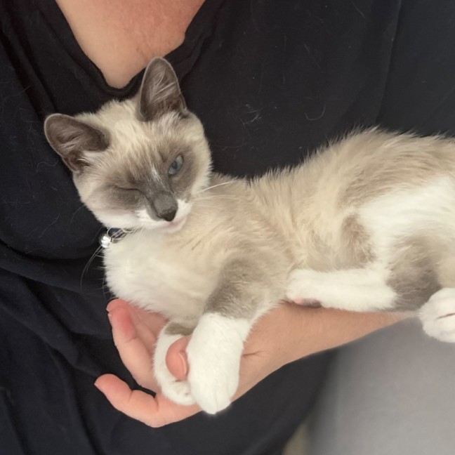 Photo of 💖 Evie 💖