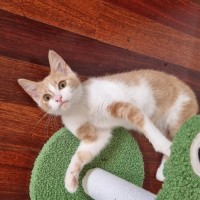 Photo of Darby