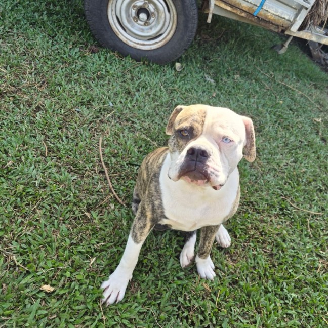 Photo of Zues
