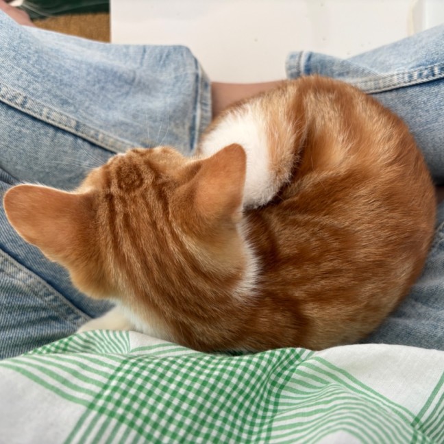 Photo of 🧡Reito🧡