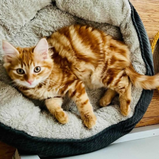 Photo of Edwina Biscuits