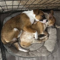 Photo of Spice