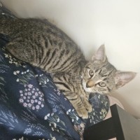 Photo of Mickey 