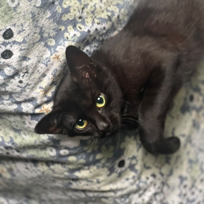 Photo of Maya