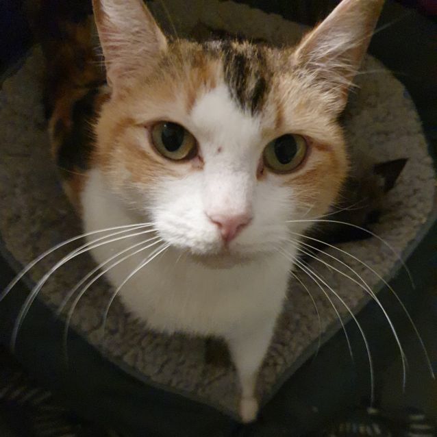 Photo of Matilda