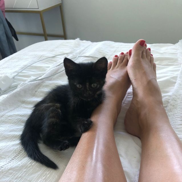 Photo of Harriet