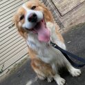Photo of Bronte