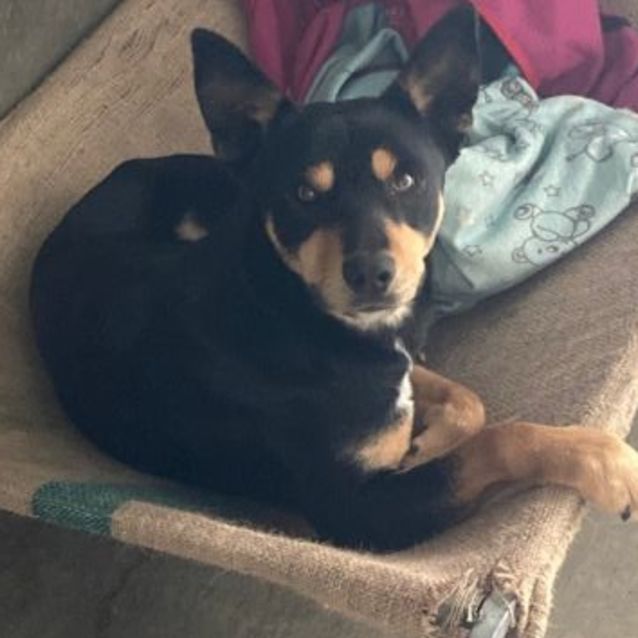 Photo of Jack 