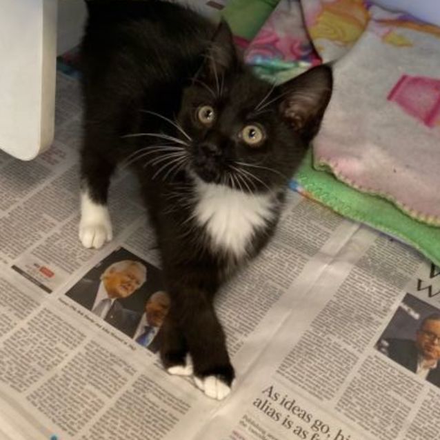 Photo of Sonny 