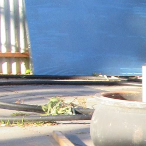 Ava *On Trial in Her New Home*