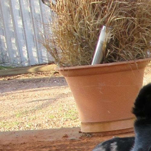 Luca *On Trial in His New Home*